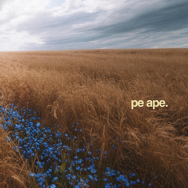Album artwork