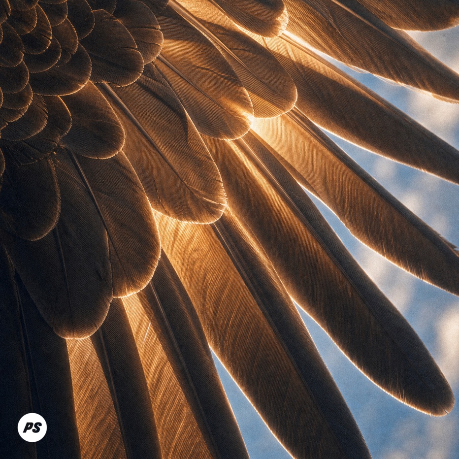 Album artwork