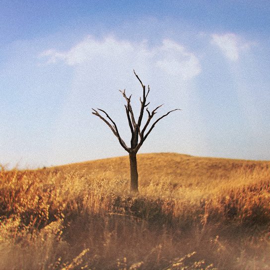 Album artwork