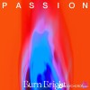 Passion - My Eyes Have Seen