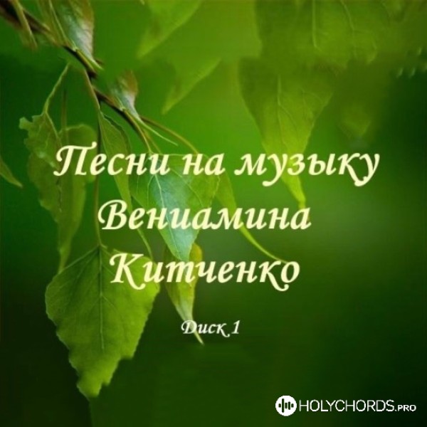 Вениамин Китченко - Что унываешь ты, душа