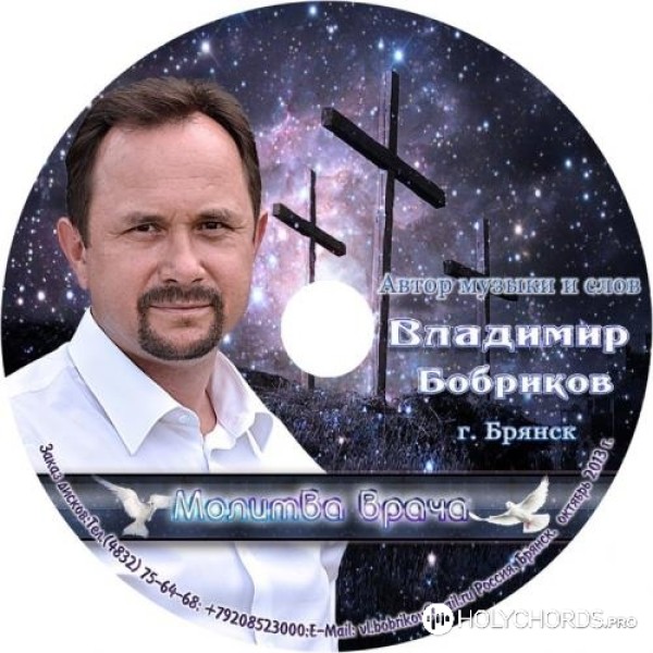 Владимир Бобриков - Нашел я в Боге