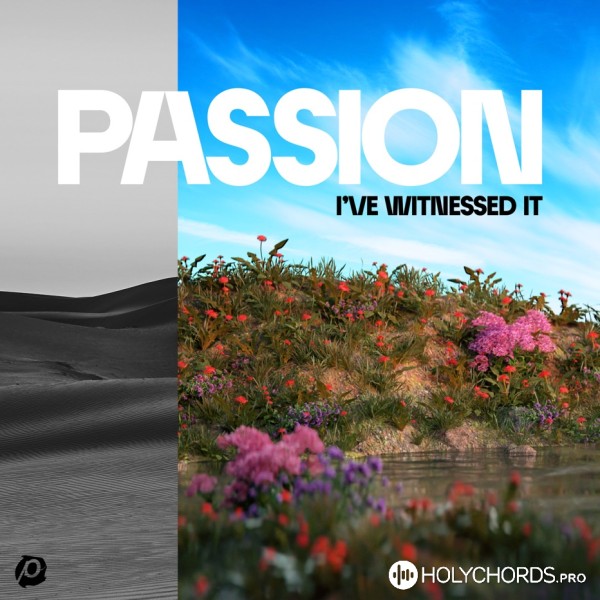 Passion - I've Witnessed It