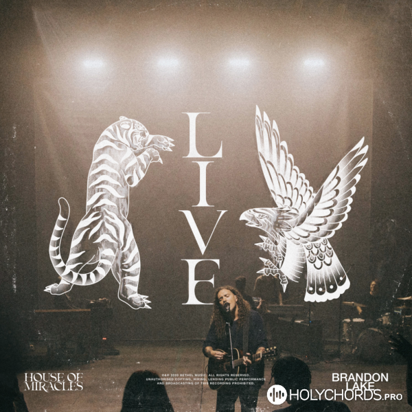 Brandon Lake - Lost In Your Love (Live)